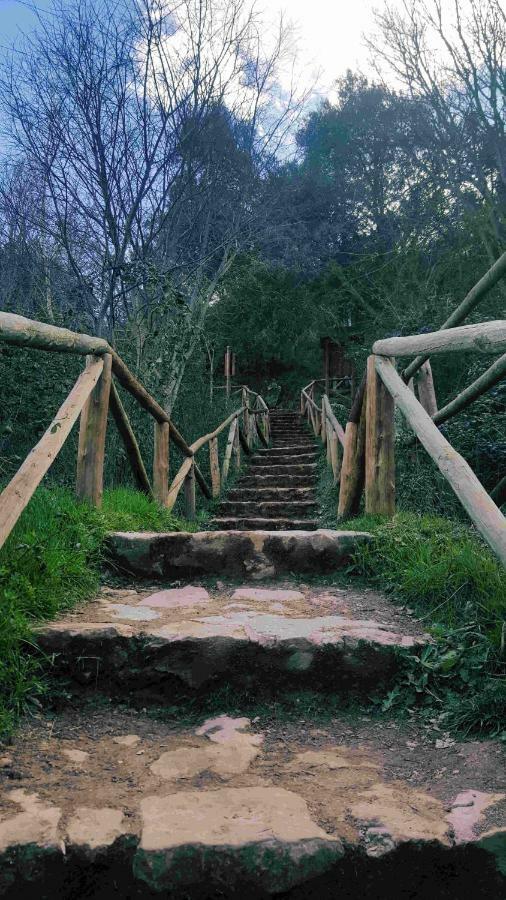 Casa Rural La Ossa Ossa de Montiel Luaran gambar